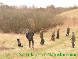 Hundetræning forår 2017